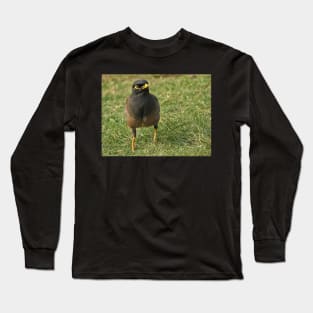 Common myna Long Sleeve T-Shirt